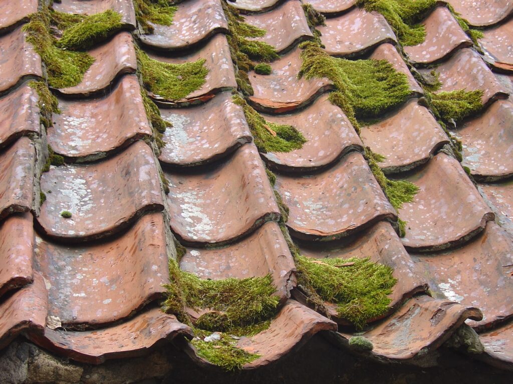 Residential Roofing